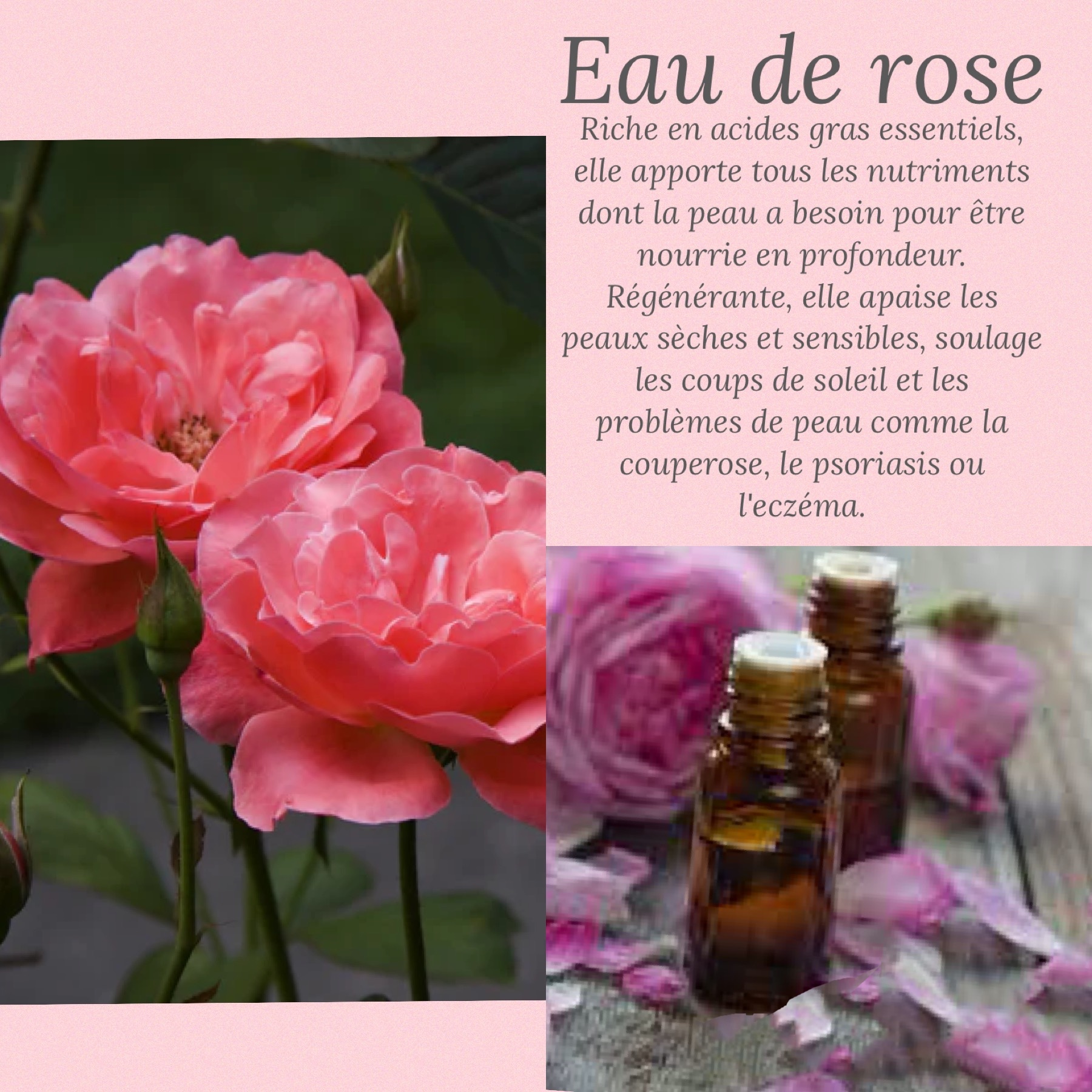 Eau de rose ses bienfaits