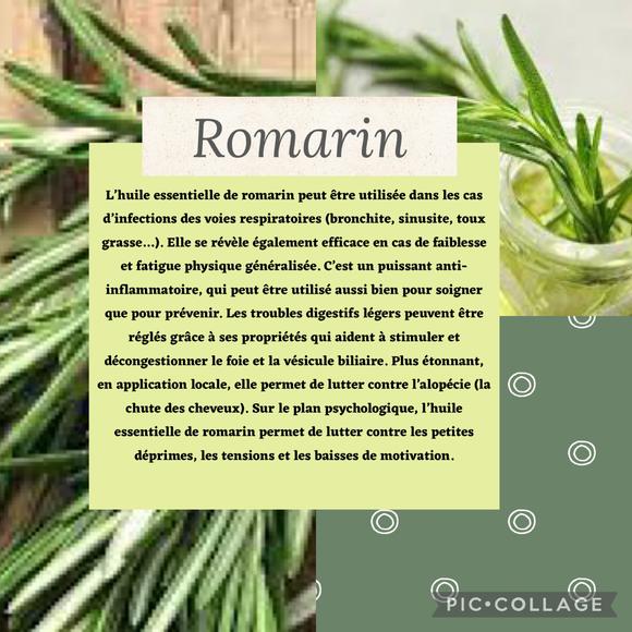 Vertus de l’huile essentielle de romarin